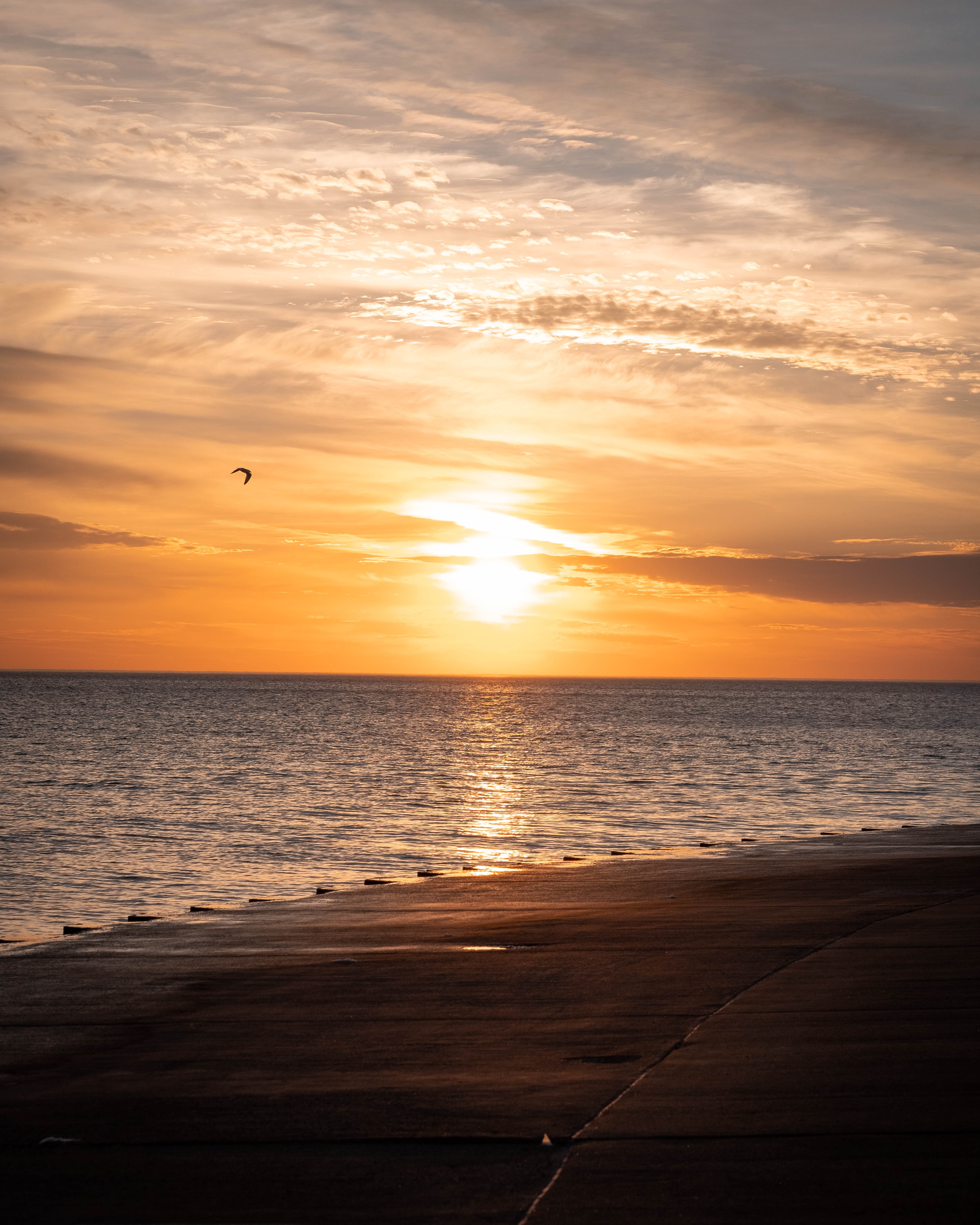 sunrise lake chicago