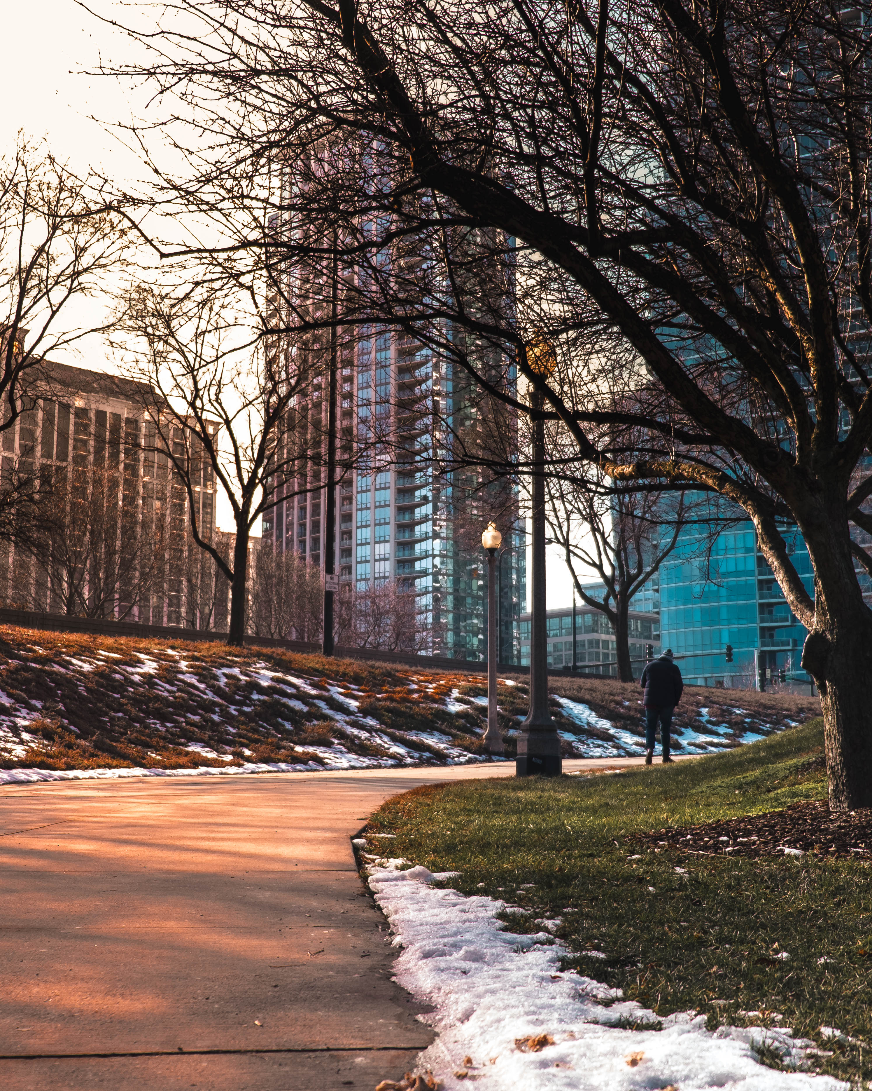 chicago park